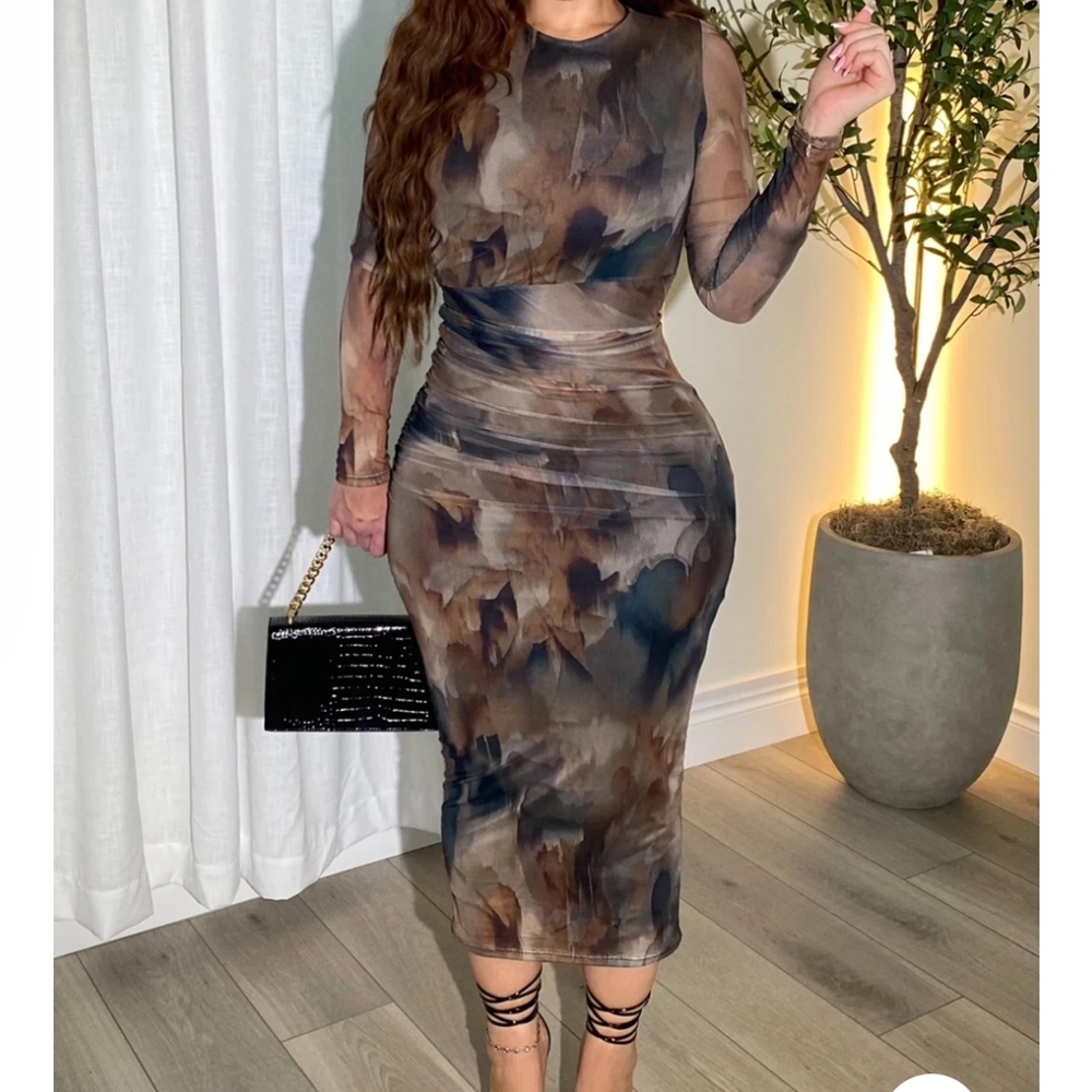 Elegant Long Sleeved Mesh Dress